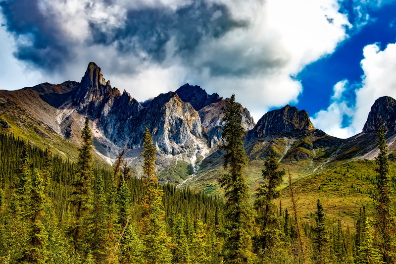 scenics - nature, woods, plant, pine tree, daytime, near, clouds, nature, tree, mountains, landscape, sky, national park, pine woodland, mountain range