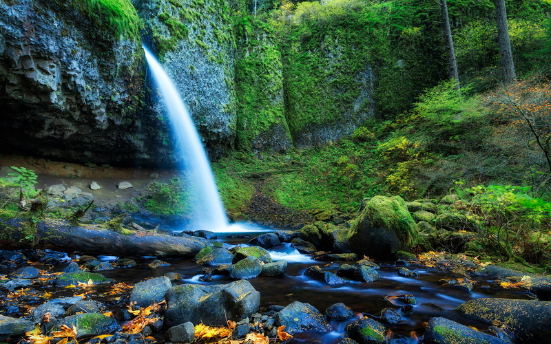nature, land, rock, laptop, falling water, flowing water, growth, plant, ultra, desktop, long exposure, outdoors, rock - object, beauty in nature, hd, ponytail