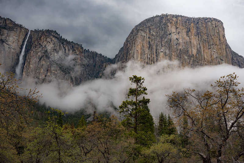 fog, mountain, formation, plant, land, nature, tree, tranquil scene, forest, rock formation, mountain range, white, tranquility, non-urban scene, no people