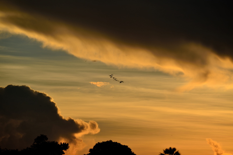 flying, nature, sky, victoria falls, air vehicle, mode of transportation, outdoors, transportation, scenics - nature, airplane, zambezi, aerospace industry