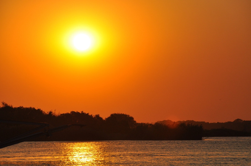 zimbabwe, sunset, tree, water, lake, orange, sunlight, reflection, no people, outdoors, tranquility, 1080P, zambezi river, beauty in nature, silhouette