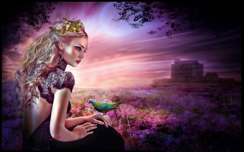 purple, hd, field, desktop, moon, hair, pigeon, beautiful, blond, fantasy, art, full, 2K, girl