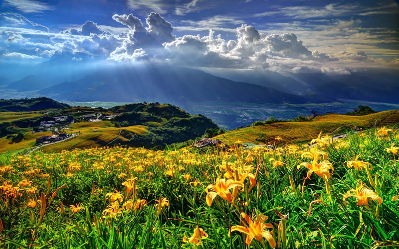spring, village, flower, landscape, hd, hills, nature, clouds, 2K, yellow, phones, lillies, mountains, mobile, sky