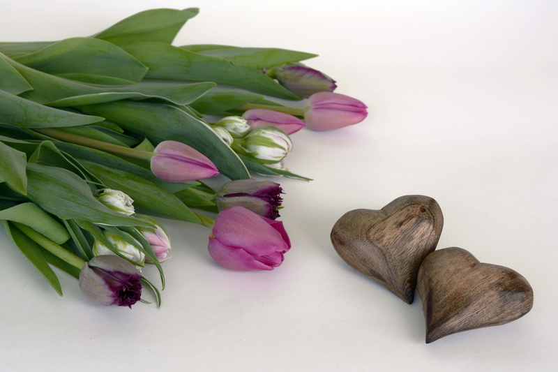 pink color, green color, plant part, nature, white, love, food, still life, leaf, indoors, flowers, purple, thank you, wood, 4K, plants, spring flowers