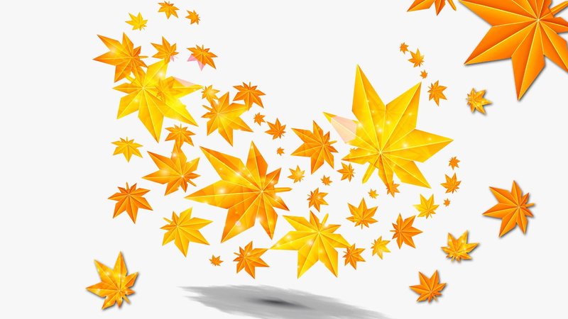 gold, yellow, light, leaves, fall, leafs, nature and landscapes, autumn, 1080P, illustrations, orange, simple, falling, shadows