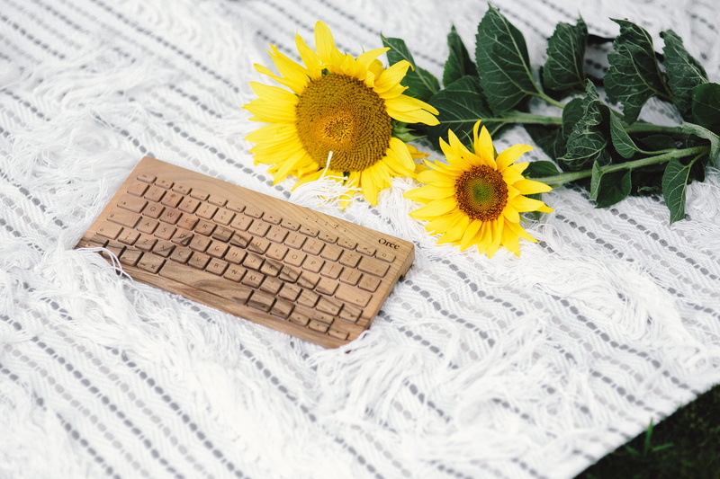 growth, freshness, technology, wooden keyboard, beauty in nature, holidays, oree keyboard, springtime, close-up, no people, vacations, arrangement, outdoor