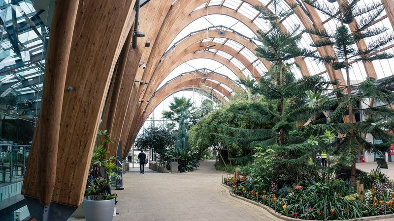 the way forward, plant, greenhouse, plants, building, tropical climate, palm tree, interior, footpath, arch, design, england, uk, indoors, nature, direction