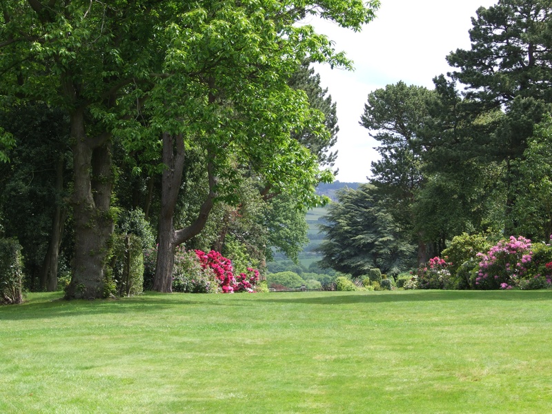 growth, nature, garden, empty, landscape, park - Man Made Space, beauty in nature, green Color, plant, flowering plant, tranquil scene, field, land, tree