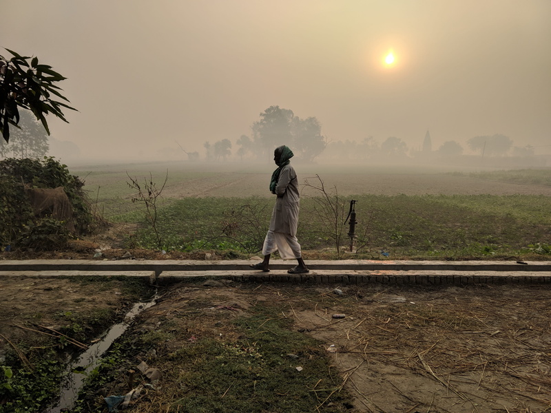 fog, real people, lifestyles, india, standing, spraying, tree, land, holidays, field, full length, scenics - nature, landscape, 4K, sun, plant, nature