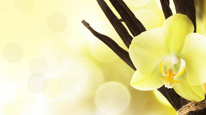 1080P, soft, persona, flower, 3d and abstract, bokeh, exotic, yellow, orchid, nature
