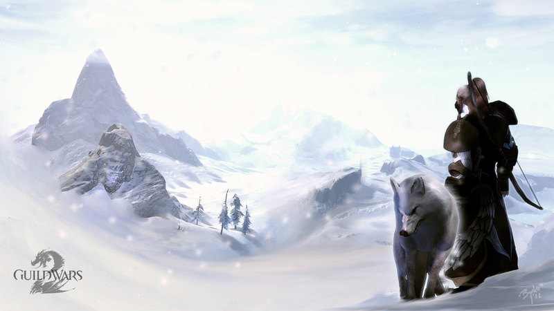 1080P, video, guild wars 2, guild, Guild Wars, games, gw2, wars, art, gw, norn, hd