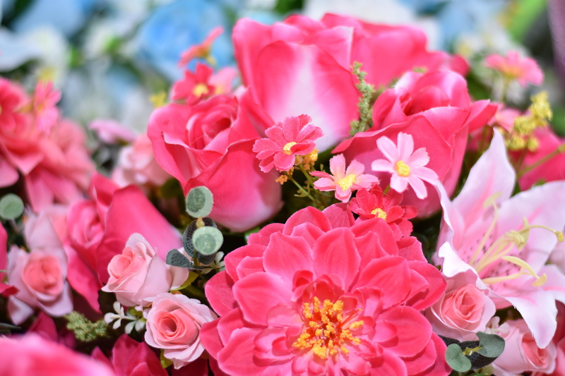 rose - flower, beauty in nature, rose, outdoors, petal, no people, springtime, freshness, flowerbed, growth, plant, inflorescence, spring, plant part, bouquet
