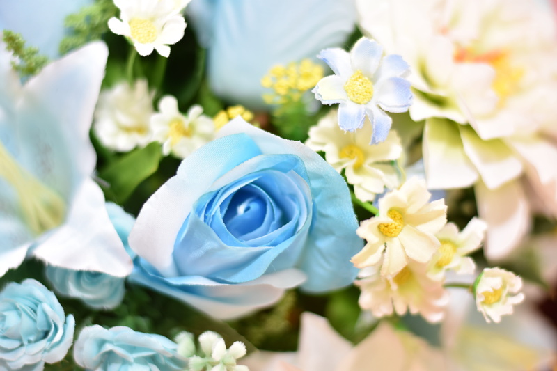summe, petal, flower arrangement, wedding, rose - flower, bouquet, outdoors, nature, fragility, plant, daisy, flowering plant, spring, freshness, day, no people