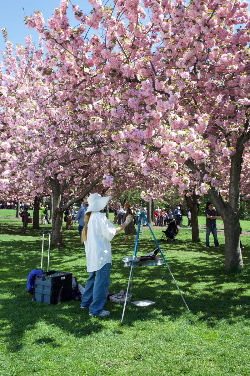 park, flower, lifestyles, park - man made space, freshness, springtime, pink, brooklyn botanical garden, flowering plant, united states, pink color, day