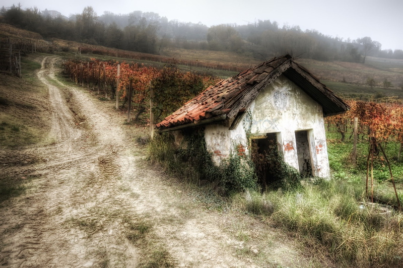 hut, building exterior, run-down, ruined, plant, obsolete, dirt road, building, field, built structure, landscape, abandoned, house, land, old, damaged