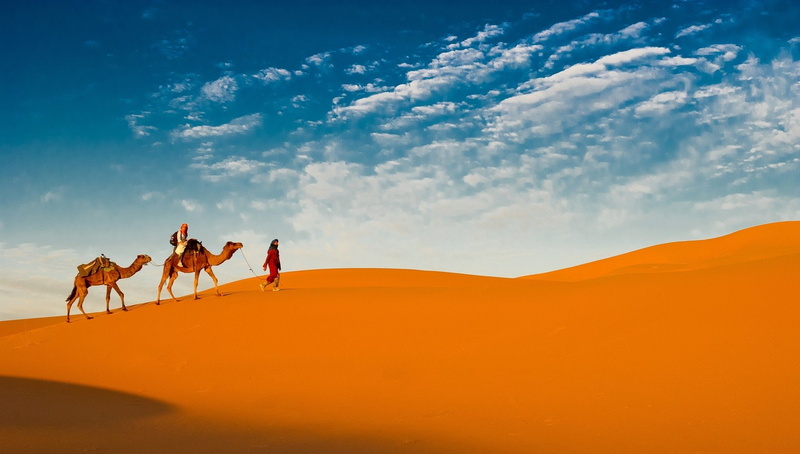 Caravan, 1080P, Desert, Photography, Camel