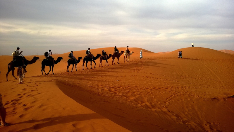 desert, camels, 2K, caravan