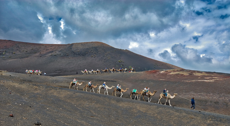 Animal, 5K, journey, nature, day, tourist, animal themes, travel destinations, Caravan, desert, sky, mountain range, men, dune, sand, island, Desert, large group of animals