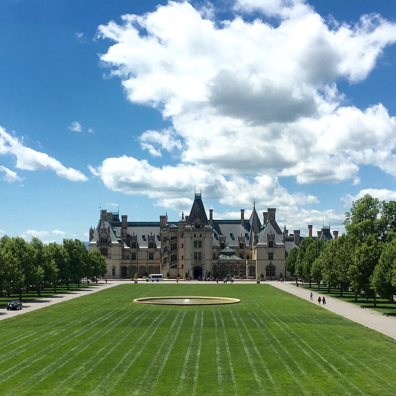 garden, growth, daylight, beauty in nature, park, nature, biltmore estate, summer, mansion, clouds, ornate, building, largest, sky, grass, field, landscape