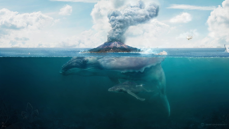 blue, young adult, fiction, sky, cloud - sky, hq, swimming, wildlife, desktopography, wave, animal themes, vacations, animal, beach, undersea