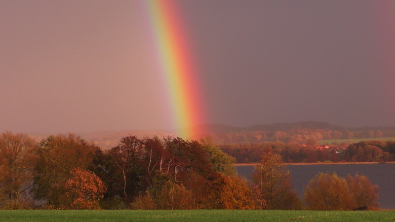 sky, scenics - nature, outdoors, non-urban scene, no people, plant, tranquility, field, double rainbow, light band, environment, phenomenon, tranquil scene