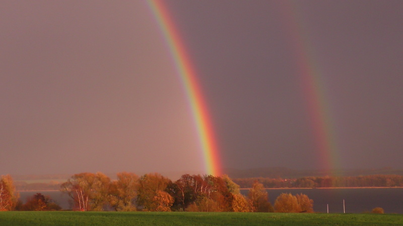 land, idyllic, grass, color, nature, scenics - nature, plant, tranquility, tree, no people, sky, light band, beauty in nature, double rainbow, rainbow