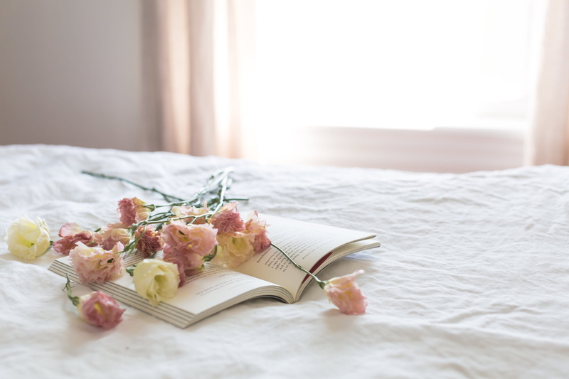 no people, color, furniture, day, nature, near, bed, copy space, magazine, activity, indoors, book, room, bedroom, decoration, still life, paper, window