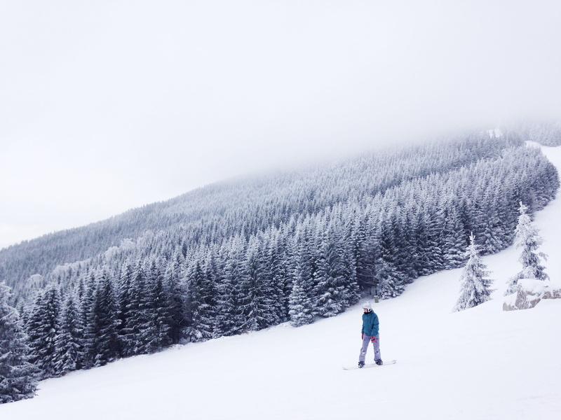 forest, 2K, ski holiday, long, blue, one Person, daytime, pine tree, covered, tree, shirt, behind, outdoors, warm clothing, leisure activity, coniferous tree