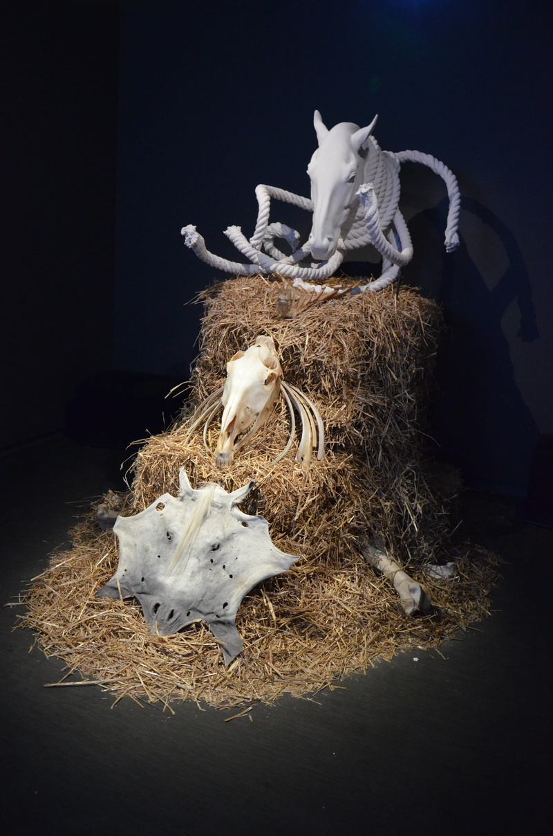 animal skull, horse head, animal wildlife, art, sculpture, mold, antler, no people, bone, animal themes, herbivorous, domestic animals, domestic, 4K, animal skeleton