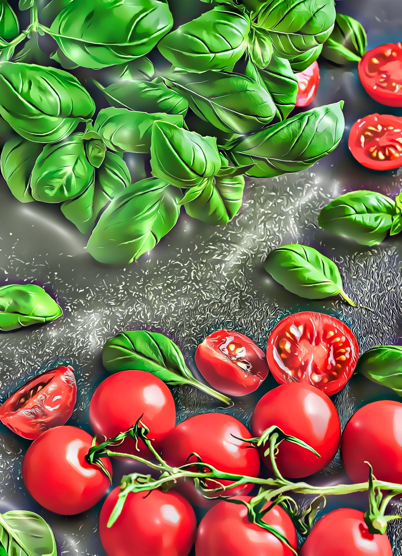 basil, illustration, digital art, painting, leaves, artwork, herb, tomatoes, plants, garden, still life, 5K, food, nature