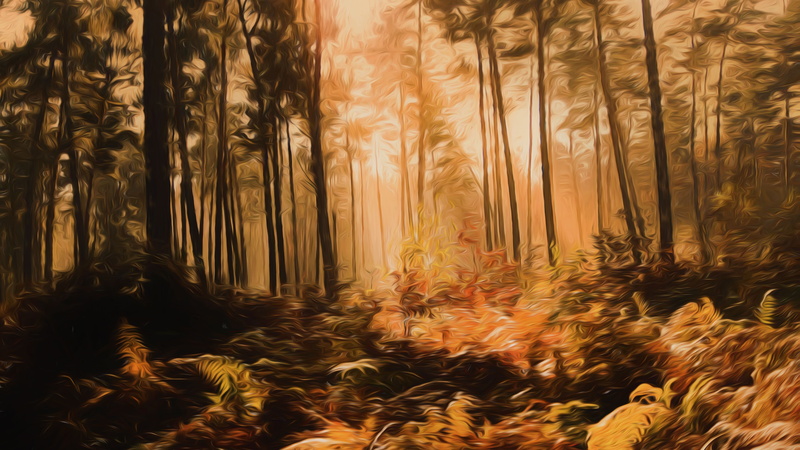 trunk, day, abundance, artwork, bamboo - plant, tranquility, creative, woodland, painting, change, autumn forest, plant, photo painting, nature, land, sunlight