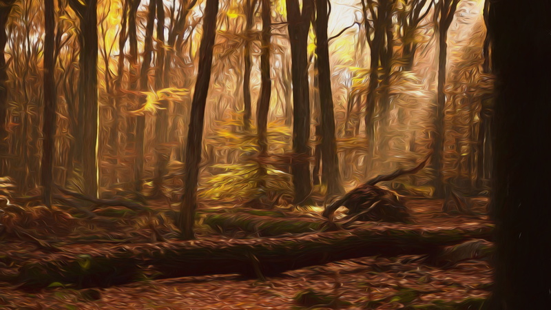 digital painting, fog, tree trunk, painting, light, tranquility, day, no people, land, growth, art, nature, palm leaf, sunlight, trees, digital art, autumn