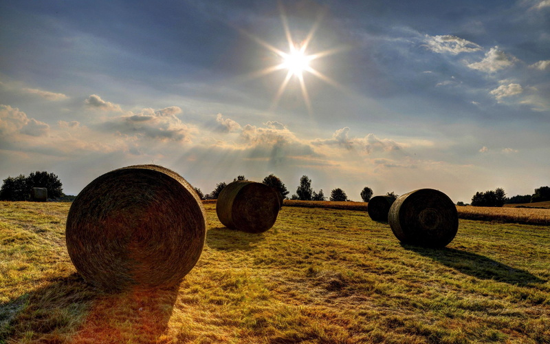 green, hay, bale, cloud, 2880x1800, grass, hay bale, field, nature, 2K