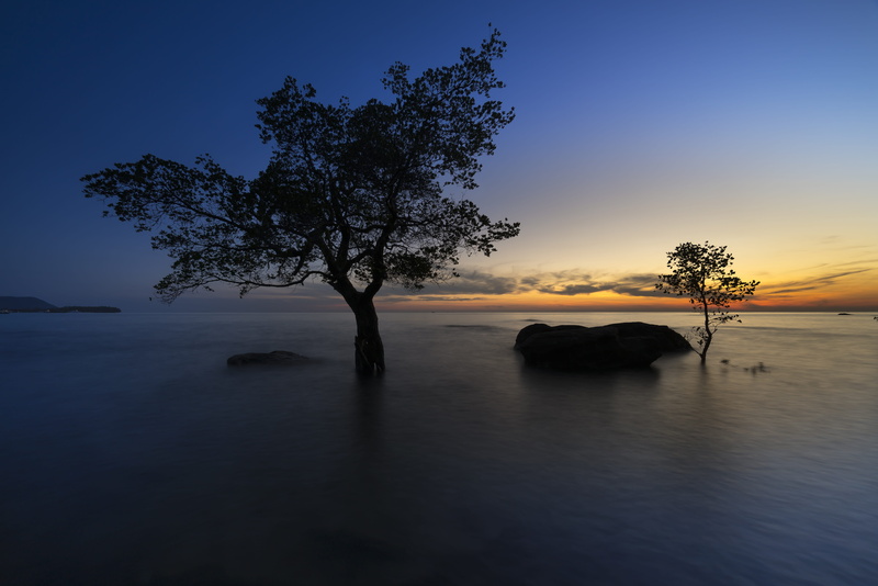 no people, natural, plant, nice, no one, trees, dawn, tropical, water, asia, blue, the landscape, exposure, beach, space, nature, the beach, beauty in nature