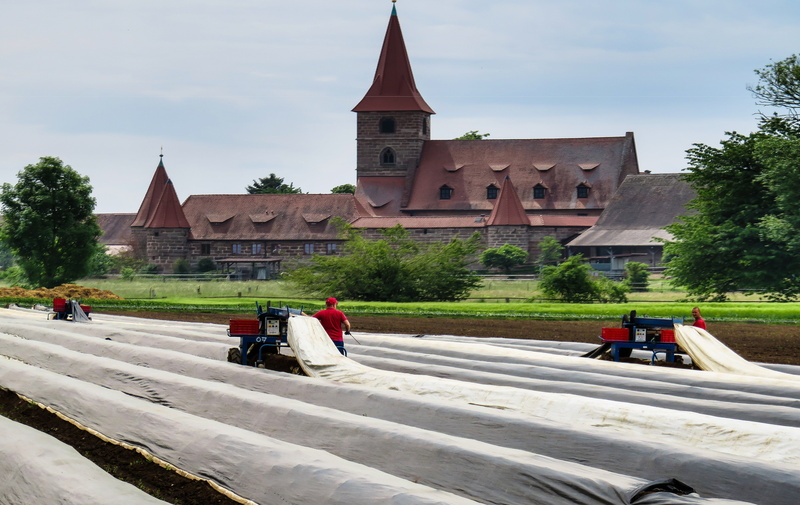 vegetables, church, field, leisure activity, real people, built structure, religion, plane, travel destinations, food, cover, architecture, plant, harvest