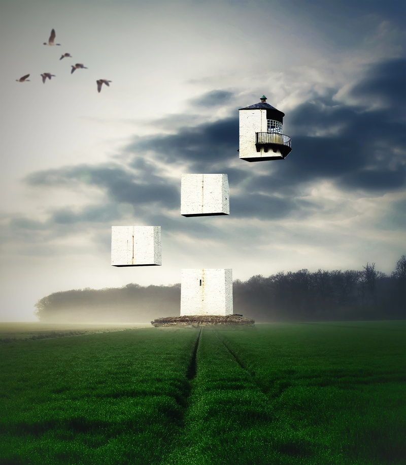vertebrate, bird, agriculture, nature, animal, environment, architecture, build, daylight, mid-air, farm, summer, weather, flying, landscape, countryside