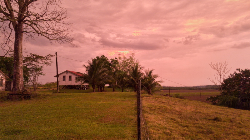 grass, architecture, tranquil scene, horizontal plane, tropic, scenics - nature, sky, no people, building exterior, evening, plant, agriculture, environment
