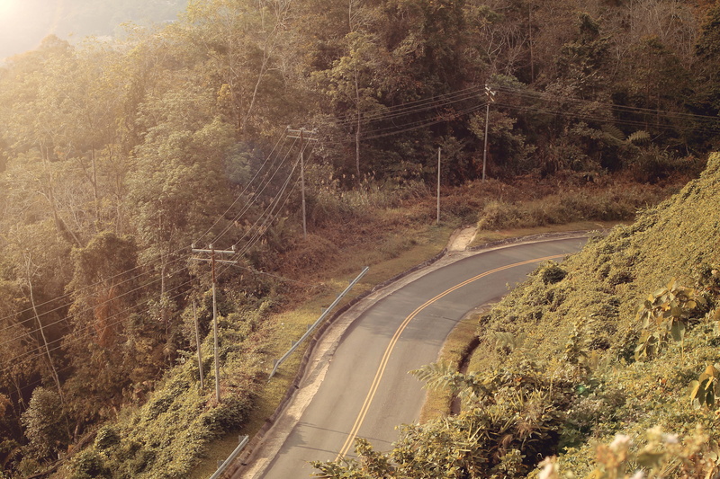 tree, tranquility, roads, green, ride, land, day, kokol haven resort, eco, tranquil scene, road, road trip, cable, the way forward, trees, sun, top, forest