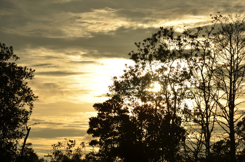sunrise, sun, sunshine, 4K, scenics - nature, dramatic, sunlight, cloudscape, tranquil, morning, no people, light, silhouette, dawn, majestic, orange color