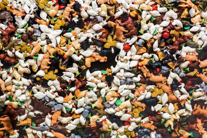 stone, horse, Cat, close-up, pebble, no people, Farm Animals, beef, Cow, multi colored, day, hahn, textured, 5K, cow, backgrounds, Beef, outdoors, many animals