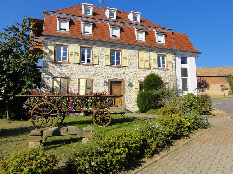 front or back yard, transportation, outdoors, outside, built structure, house, tree, wagon, sky, window, building, residential district, street, growth