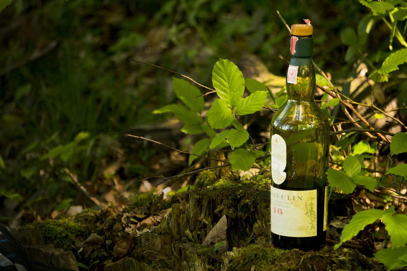 wine bottle, day, communication, nature, tree, green color, refreshment, outdoors, whiskey, bottle, container, lagavulin, leaf, focus on foreground, selective focus