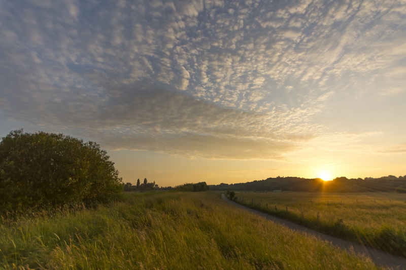 trees, rays, 1080P, field, germany, clouds, Sunset, evening, footpath, sun, sky