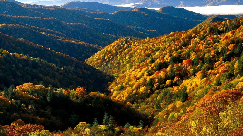 mountains, nature and landscapes, grass, narrow, clouds, yellow, forest, 1080P, autumn, valley, orange