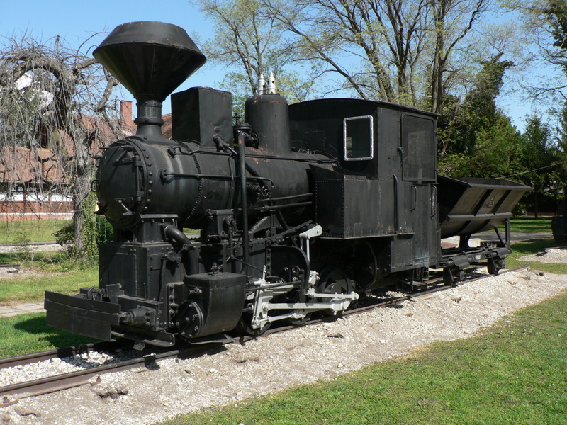 train - vehicle, old, shunting yard, steam, tree, railroad Track, station, history, mode of transportation, narrow track, transportation, nature, sky, no people