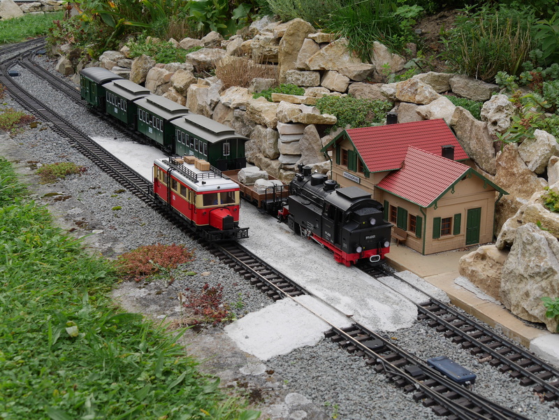 garden railway, track, built structure, narrow gauge railway, public transportation, narrow gauge, no people, nature, plant, railway, rail transportation