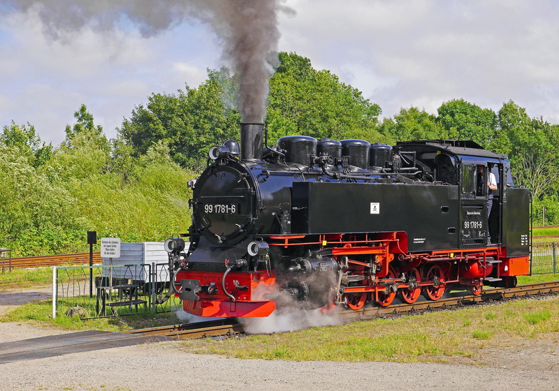 smoke, outdoors, mode of transportation, tree, rail transportation, sky, steam, nostalgia, steam railway, air pollution, tourism, steam locomotive, rasender roland