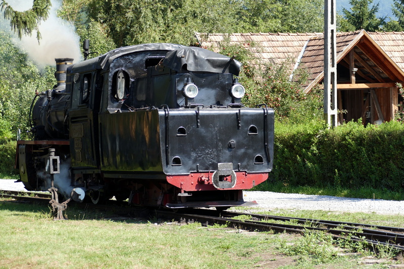 no people, train - vehicle, day, transylvania, transportation, field, tank locomotive, outdoors, sovata, rail transportation, nostalgia, grass, plant, public transportation