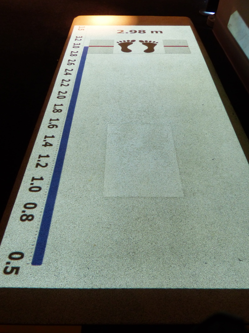 sport, non-western script, western script, close-up, script, blue, high angle view, 4K, Scale, guidance, single object, table, athletics, long jump track