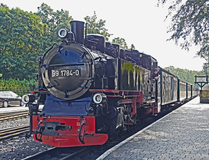 public transportation, travel, rügen, transportation, railway, br 99, east coast, railroad track, outdoors, nature, plant, mode of transportation, train - vehicle